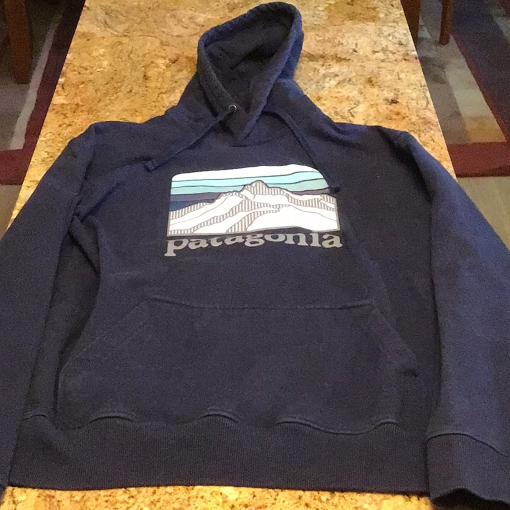 Patagonia heavy-weight hoodie